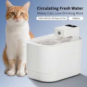 Small Sugar Pet Water Dispenser, Multi-layer Filtration To Maintain Water Quality, Large Capacity Water Storage, Beautiful And Practical For Home (Option: Defaulttitle)