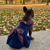Navy Dog Dress with Plaid Ruffles